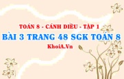 Bài 3 trang 48 SGK Toán 8 tập 1 Cánh Diều